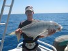 Broome Trevally